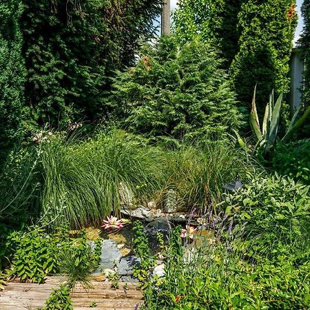 Andi Apartman Hévíz Buitenkant foto